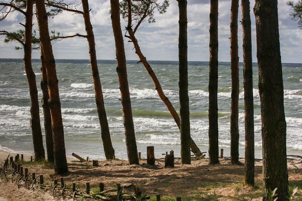 Vila Medus Palanga Dış mekan fotoğraf