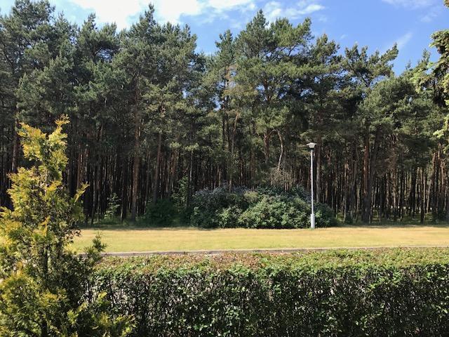 Vila Medus Palanga Dış mekan fotoğraf